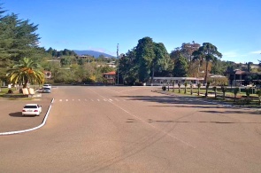 Parque Central. Cámaras web de gala en línea