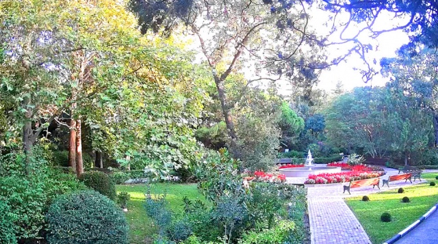 Parque del sanatorio Ai-Danil. Cámaras web Danilovka