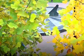Parque Jardín De Flores. Cuadrante. Webcams de Pyatigorsk