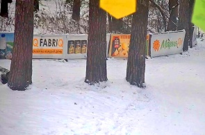 Estación de esquí Dinamo. Ángulo 2. Cámaras web de Barnaul