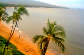 La Playa del Azúcar. Cámaras web de Honolulu en línea