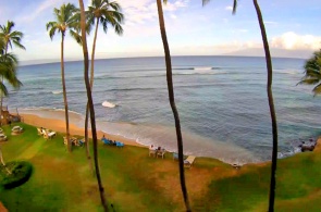 Playa de condominios en la isla de Maui. Cámaras web de las islas hawaianas en línea