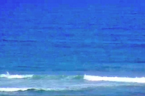 Webcam de Beach Flinders en línea