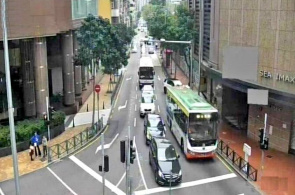 Cruce de carreteras Stoke Bird Bays Dazhun. Webcams de Macao en línea