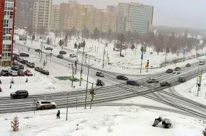 Parque de la Amistad. Webcams de Nuevo Urengoy
