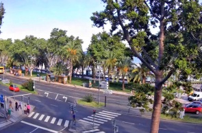 Paso de peatones MAR. Webcams Madeira