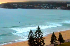 Webcam de Manly Sydney en línea