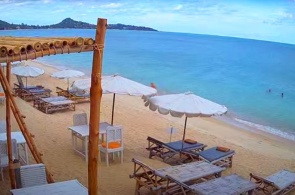 Restaurante Baobab. Webcams Samui en línea