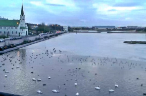 Lago Thjörnin. Webcam de Reykjavik en línea