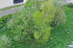 Avenida Salavat Yulaev. Ángulo 3. Cámaras web Baymak en línea
