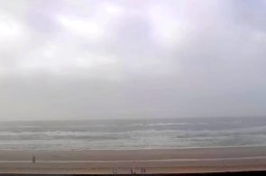 Playa De Henne. Webcams de Copenhague