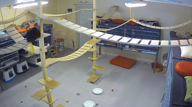 Webcam en el refugio "Labās mājas" en el distrito de Jugla de Riga