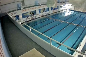 Piscina SK Cristal. Webcams Berdsk