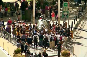 Charging Bull "Attacking Bull" Nueva York webcam en línea