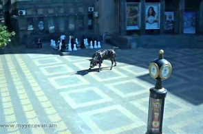 Plaza Charles Aznavour. Webcam de Ereván en línea