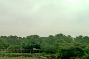 Parque de humedales. Webcams de Hong Kong en línea